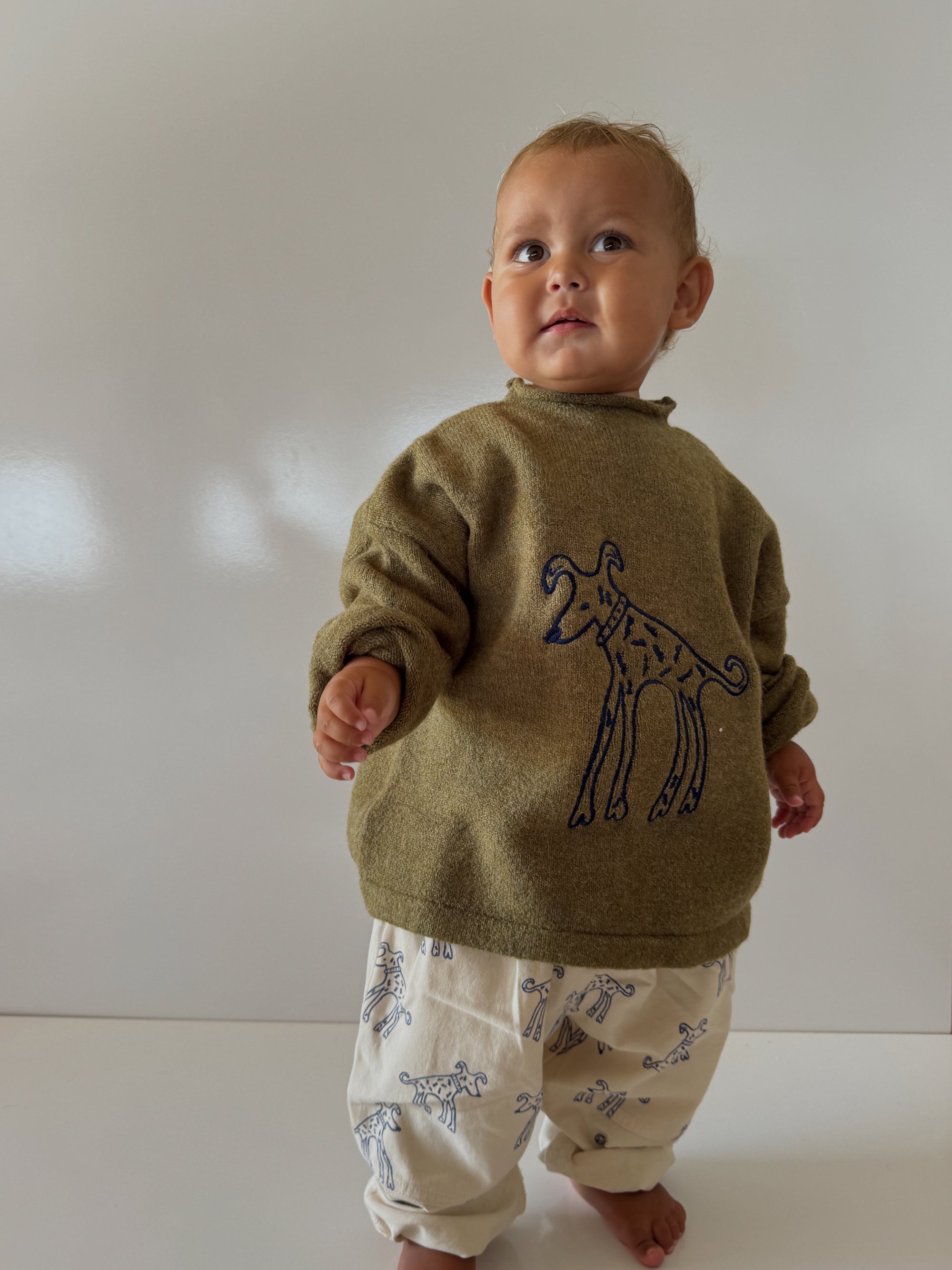 Rolled neck knit - green