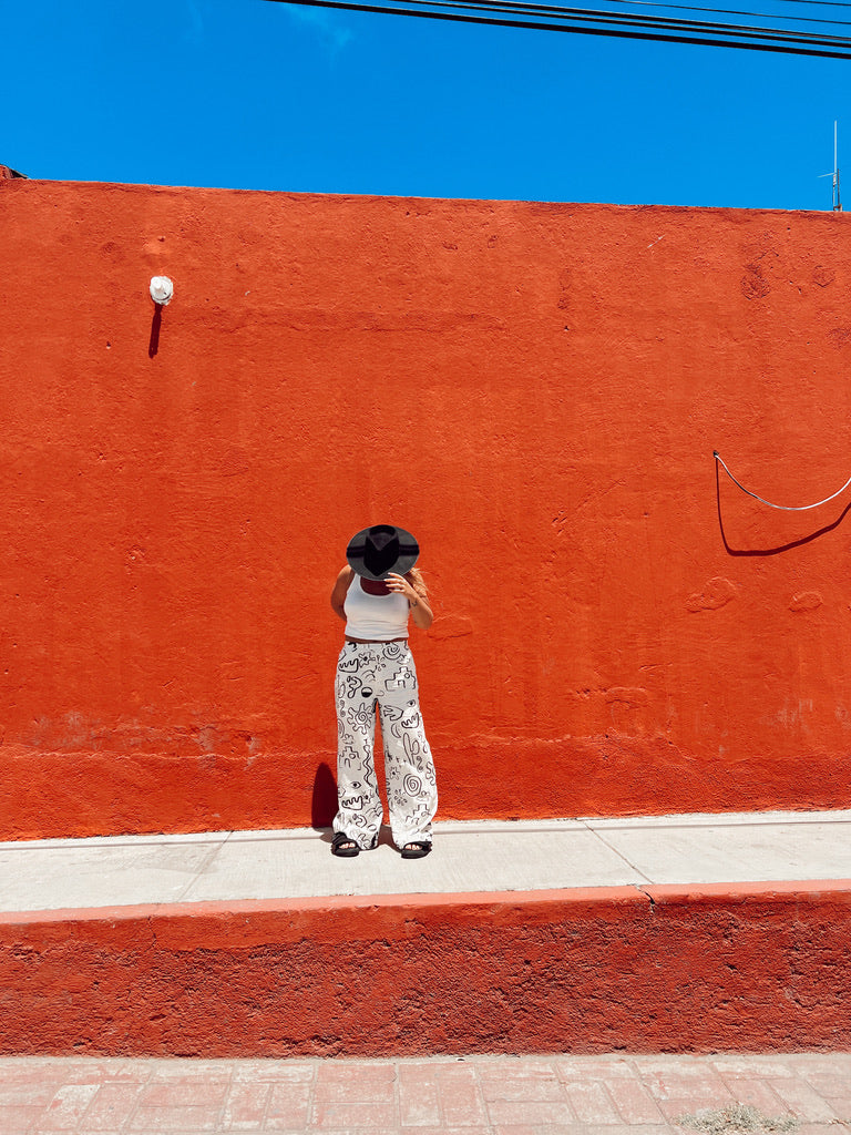 LOCO FELIZ CAMPAIGN - Todos Santos, Baja, Mexico