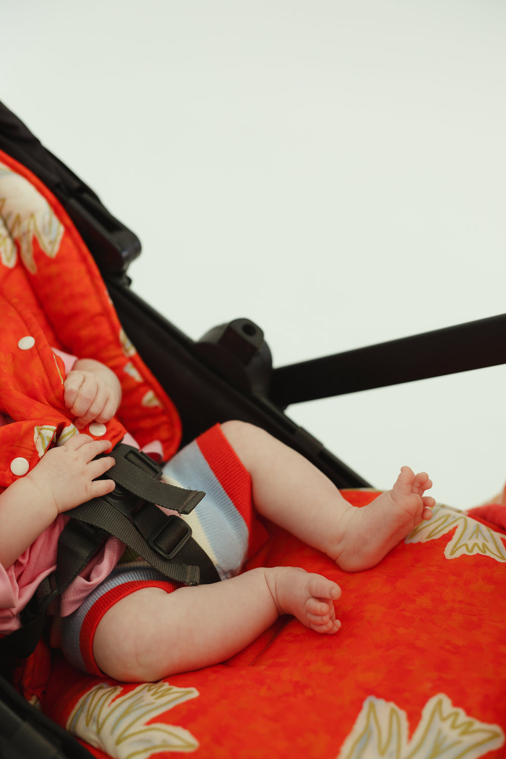 Le petit oiseau - pram liner