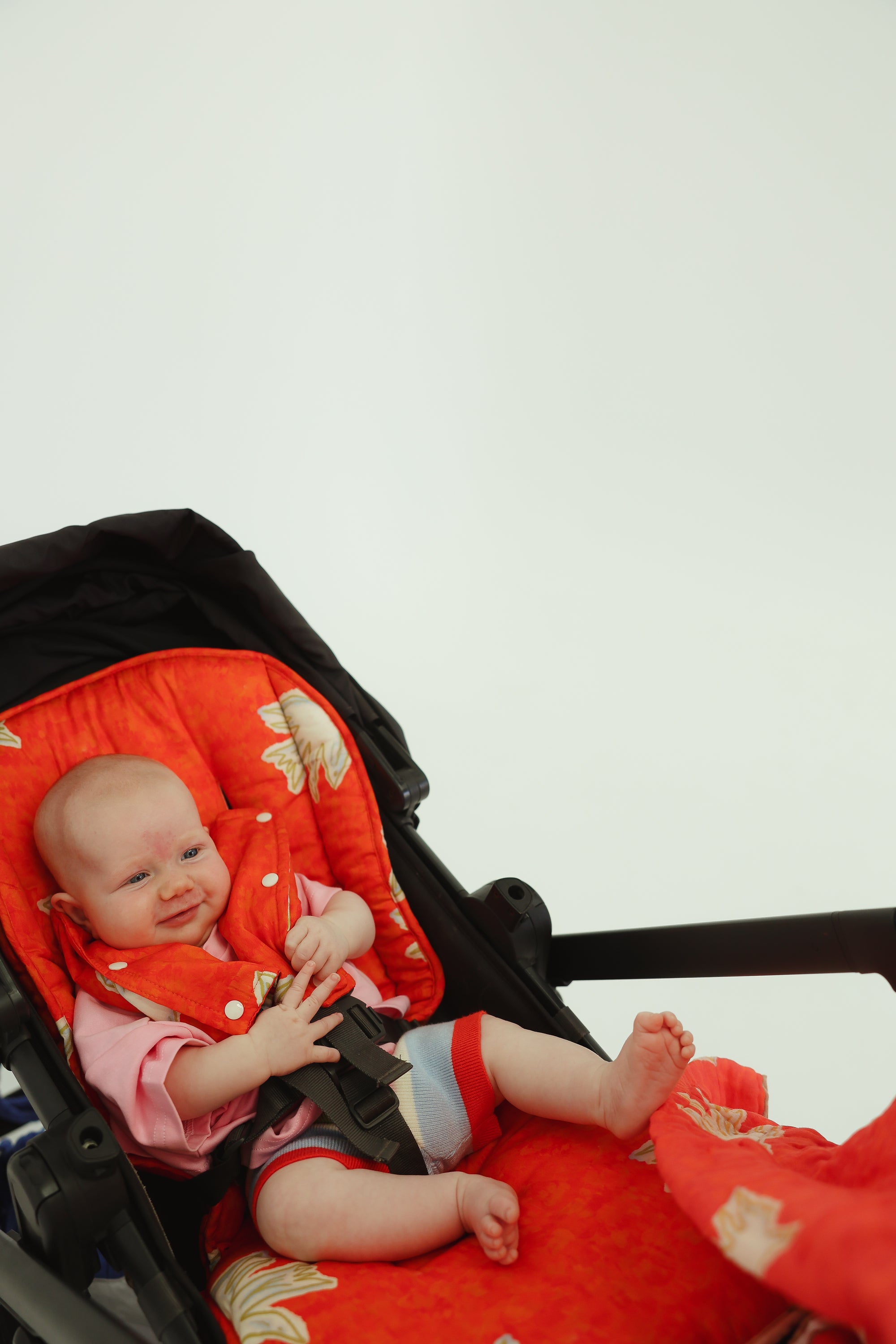 Le petit oiseau - pram liner