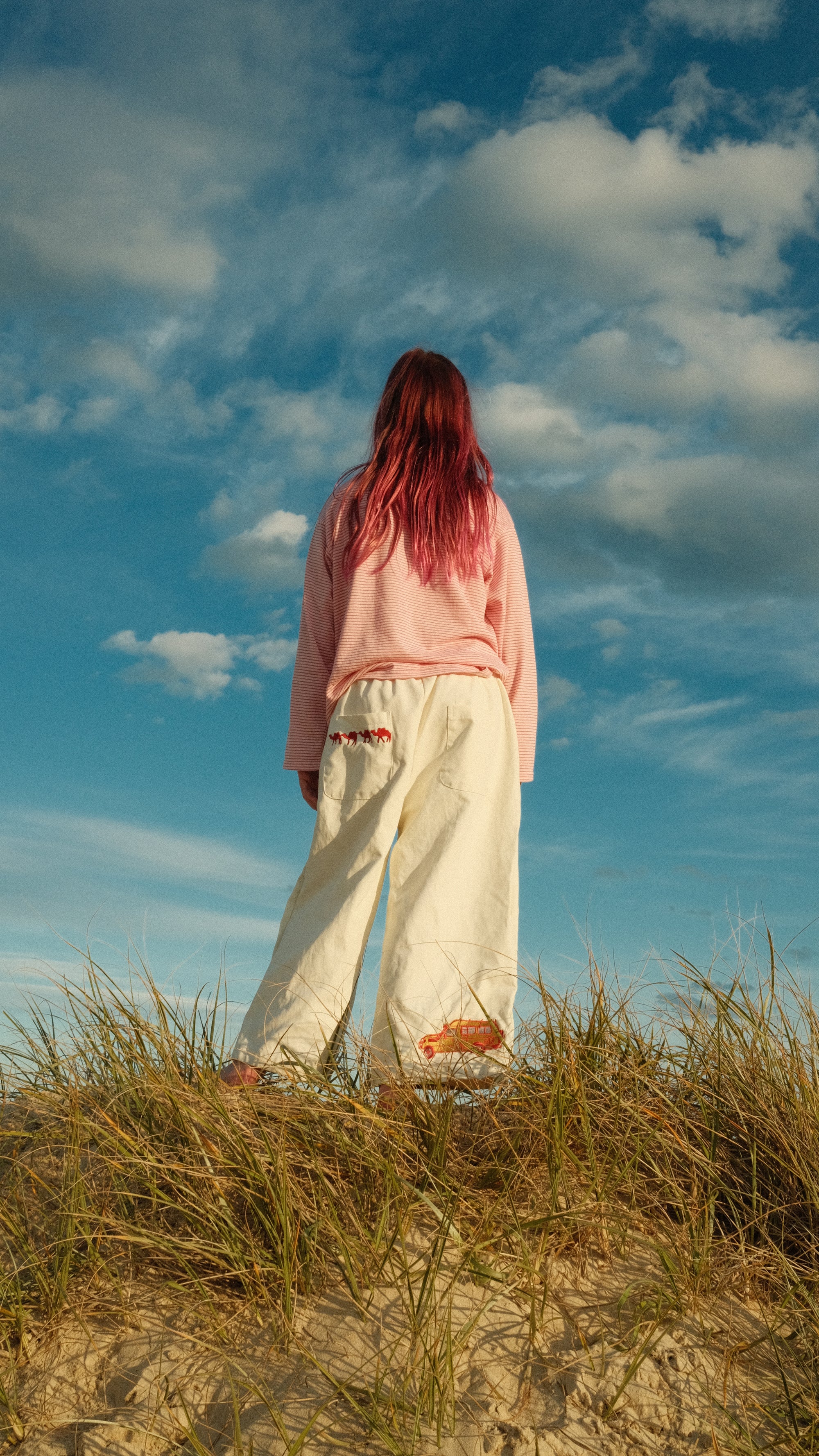 Embroidered canvas pant - cruiser patch