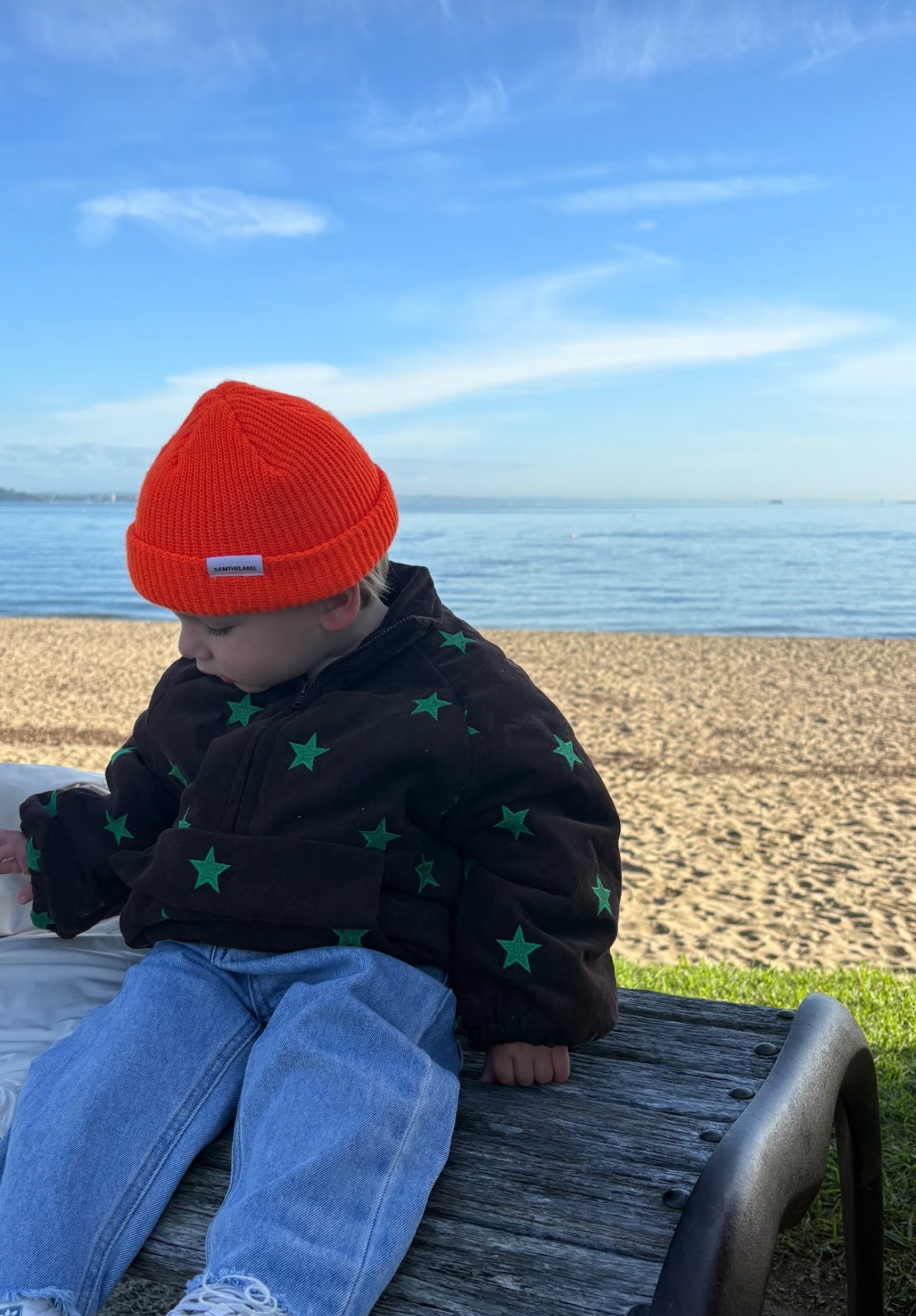 Joey jacket - astro (embroidered)