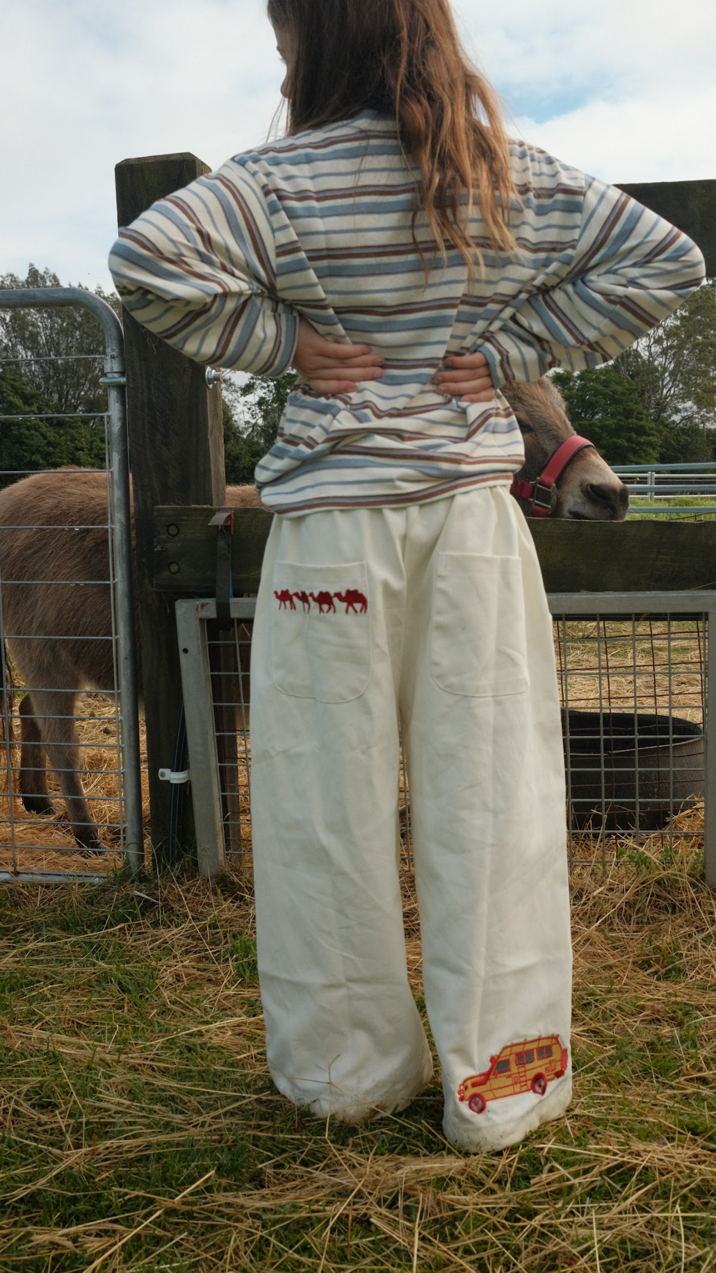 Embroidered canvas pant - cruiser patch