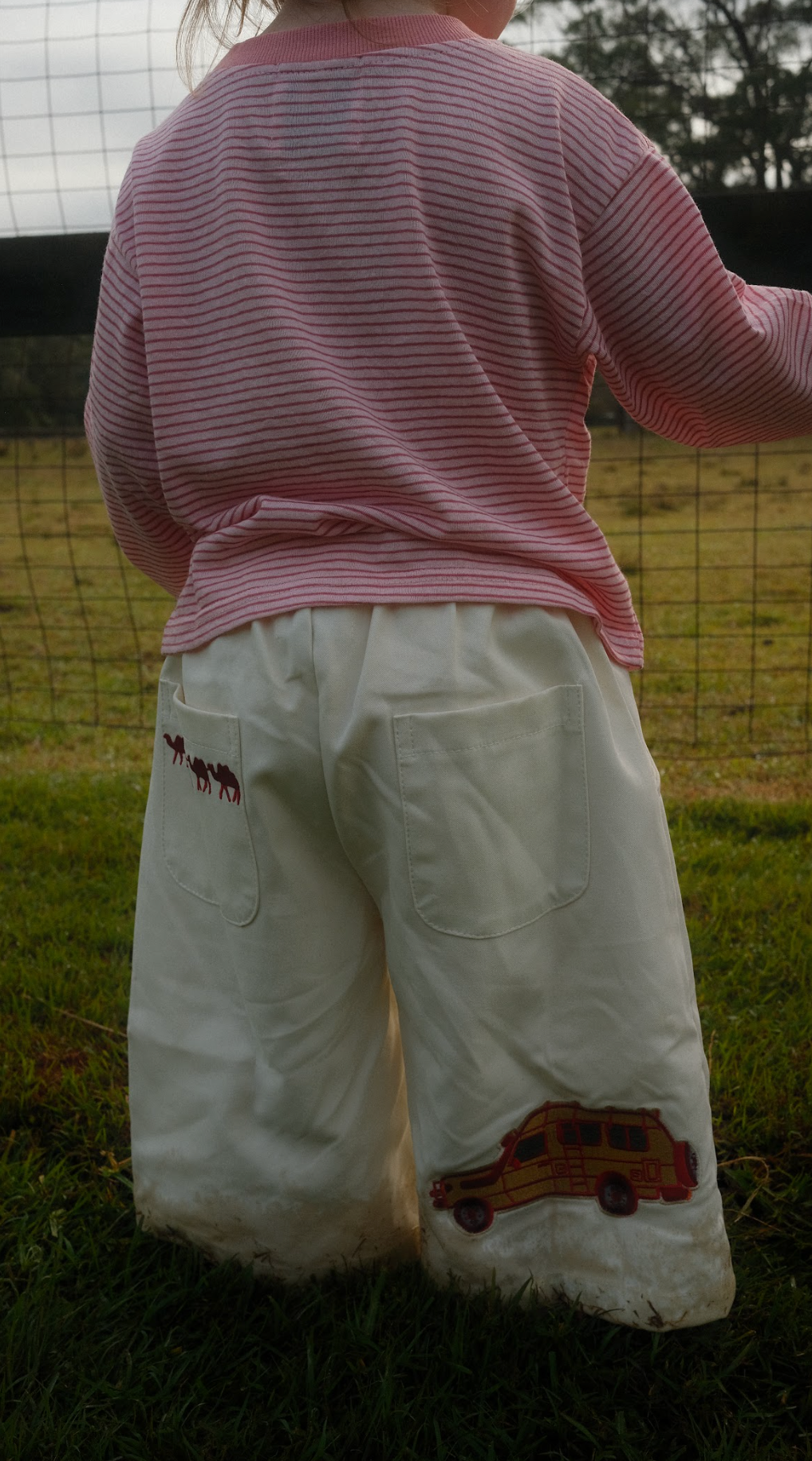 Embroidered canvas pant - cruiser patch