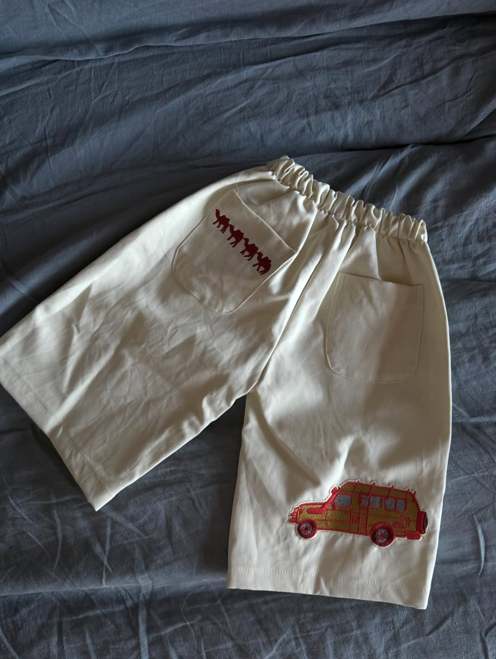 Embroidered canvas pant - cruiser patch