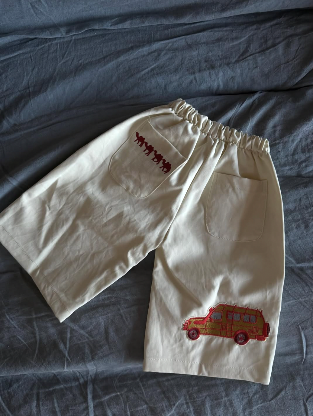 Embroidered canvas pant - cruiser patch