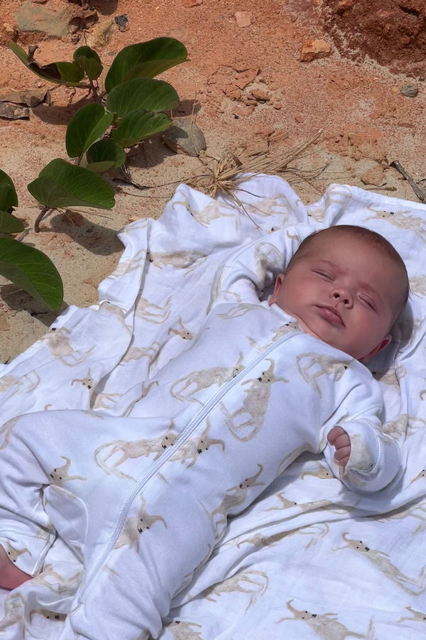 Roo organic cotton zip onesie - milk